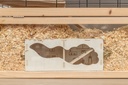 Caja de observación 9