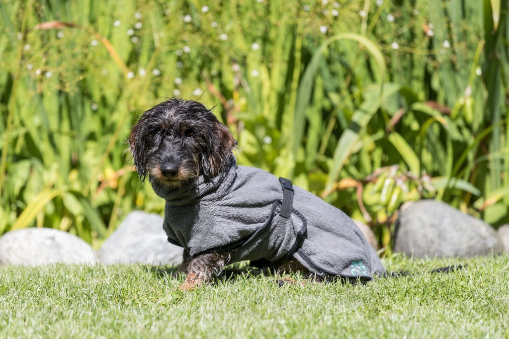 Albornoz para perros 4