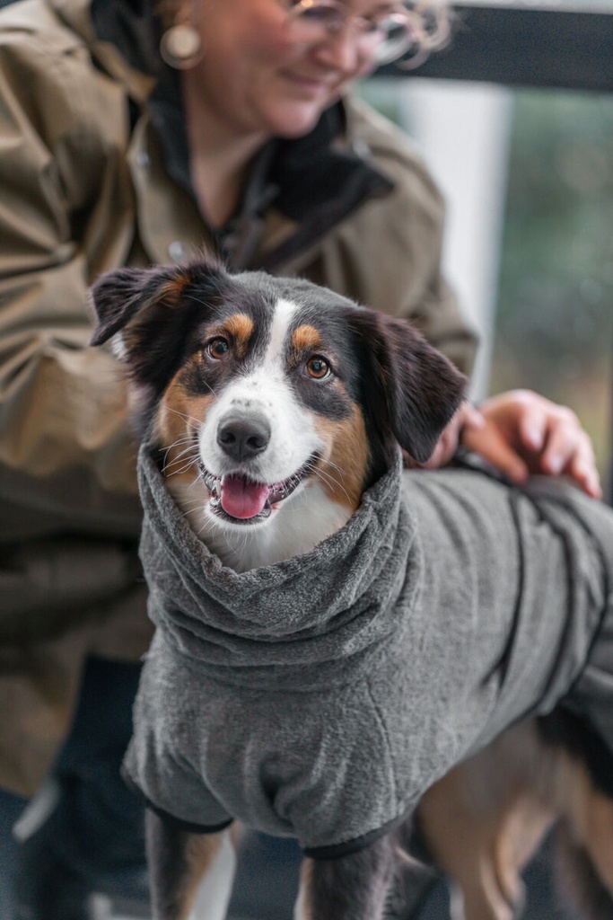 Albornoz para perros 5