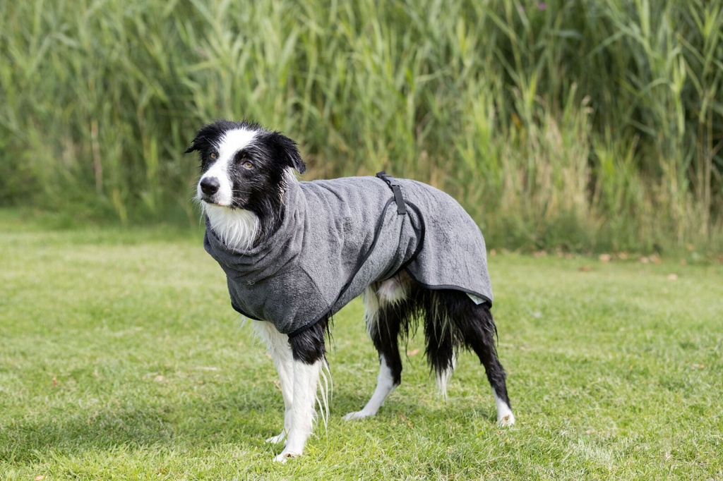 Albornoz para perros 7