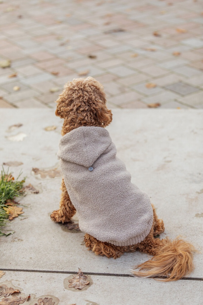 Sudadera Carson 4