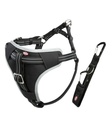 Arnés para Coche Dog Comfort - 2