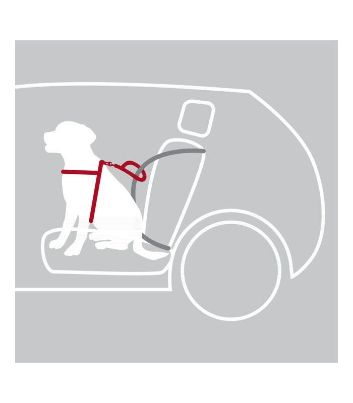 Arnés para Coche Dog Comfort - 3