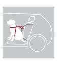 Arnés para Coche Dog Comfort - 3