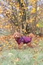 Abrigo de invierno con arnés Pirou 8