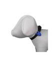 Flasher para Perros - 2