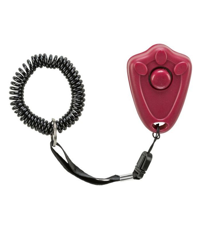 Clickers - 1