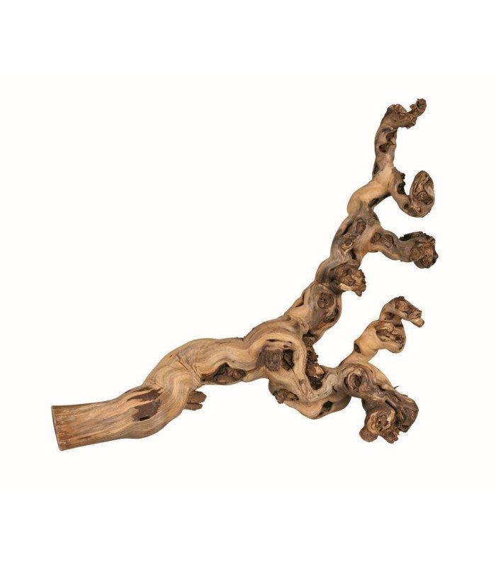 [76171] 6 troncos chorrados de arena - XL: 50-80 cm