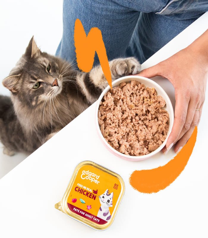Adulto Pollo - Paté