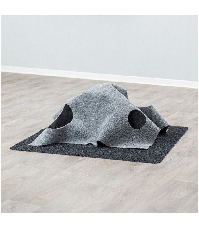 [45890] Adventure Carpet
