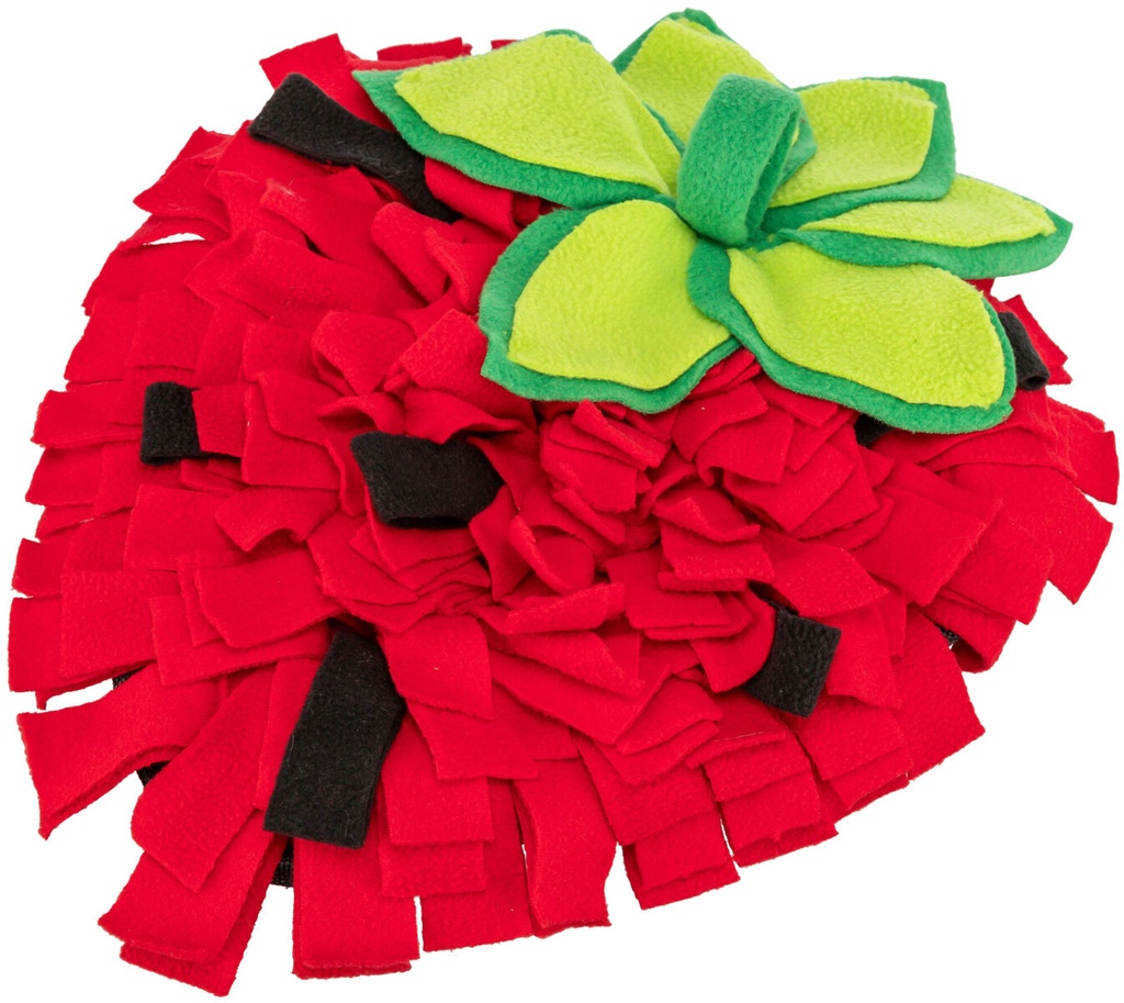 [62828] Alfombra para Olfatear rojo