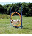 Aro para Agility