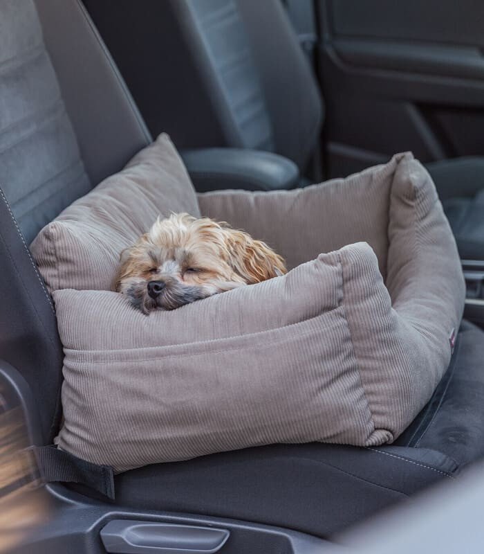 Asiento para Coche