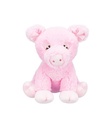Be Eco Cerdito Edison