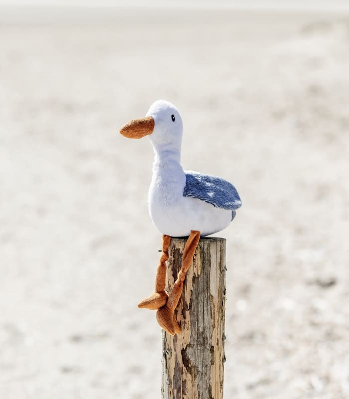 [36042] BE NORDIC Gaviota
