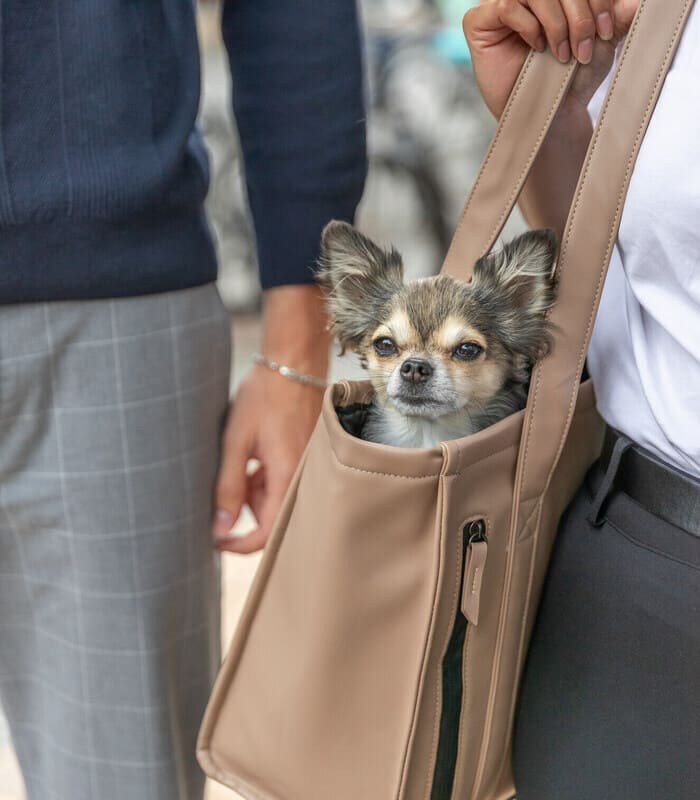 [28876] Bolsa CityStyle