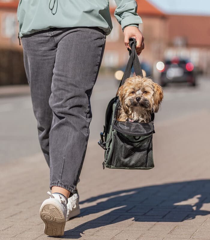 Bolsa Madison
