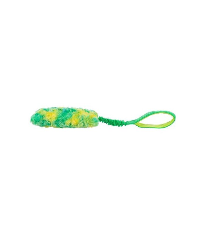 [32867] Bungee Fun