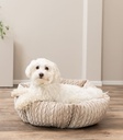 Cama Livia