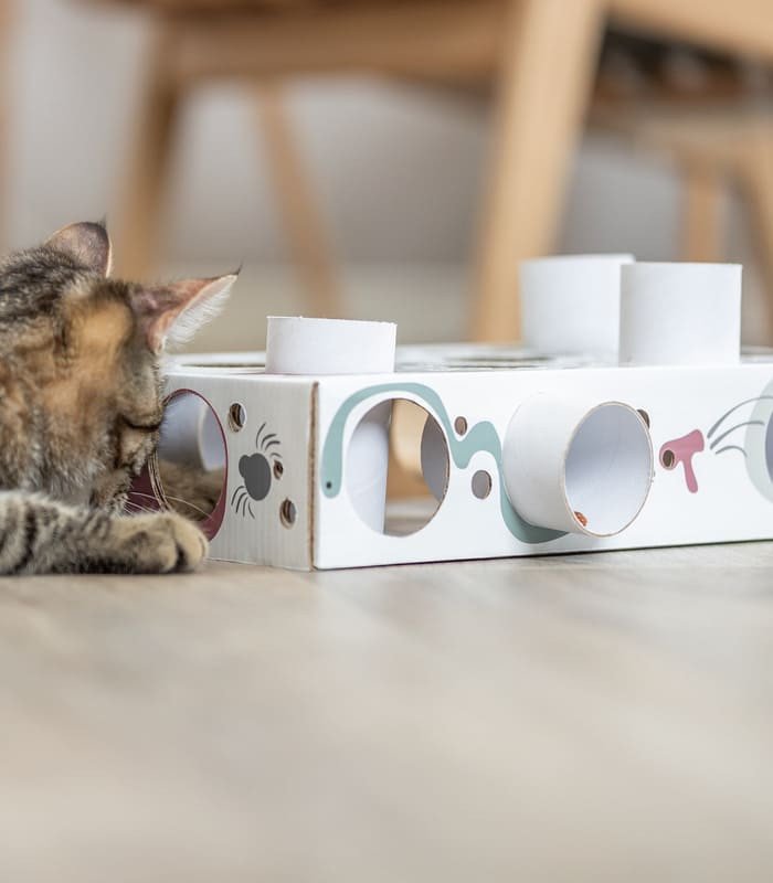 [45930] Cat Activity Paws'n'Treats