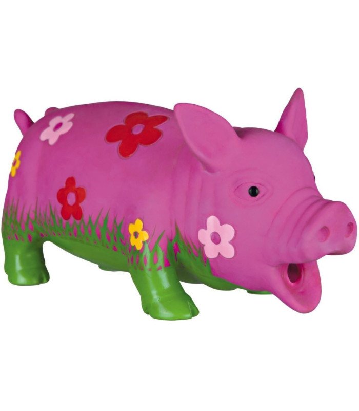 Cerdito Hippy
