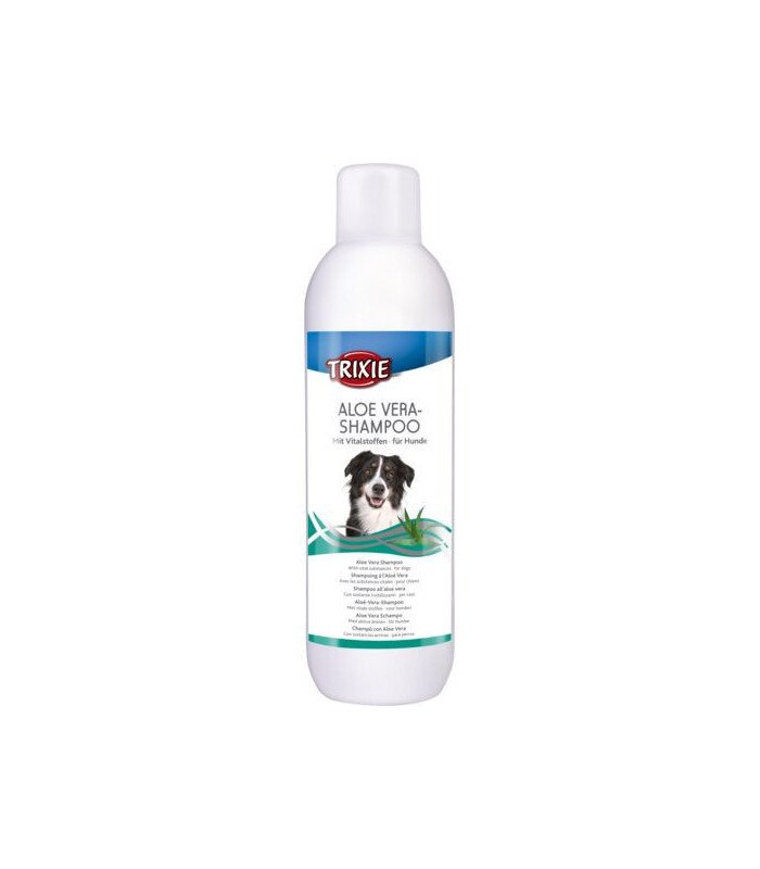 [2897] Champú con Aloe Vera