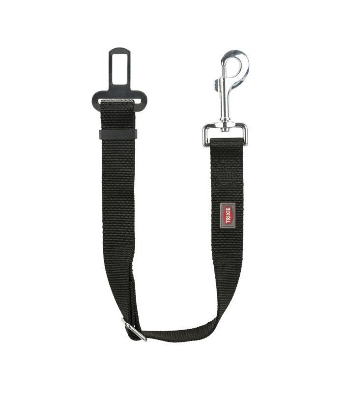 Cinturón de Seguridad