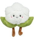 Coliflor