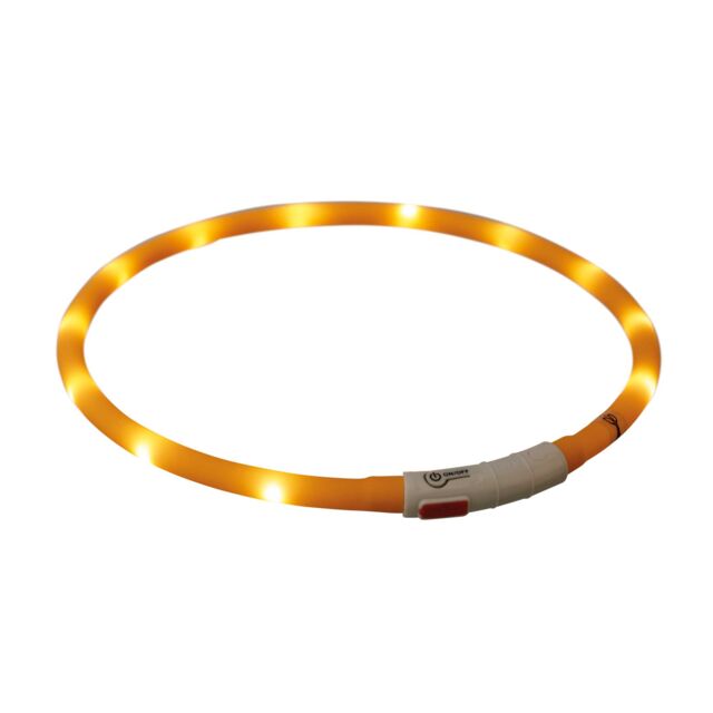 [12646] Collar Flash USB