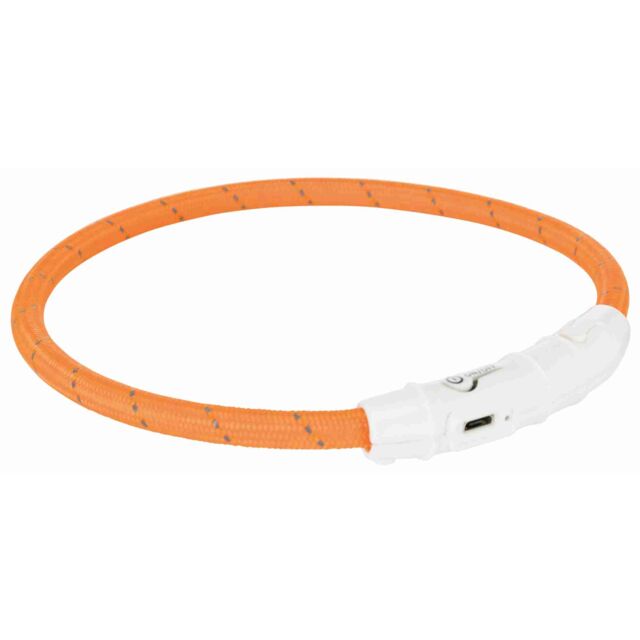 [12705] Collar Flash USB