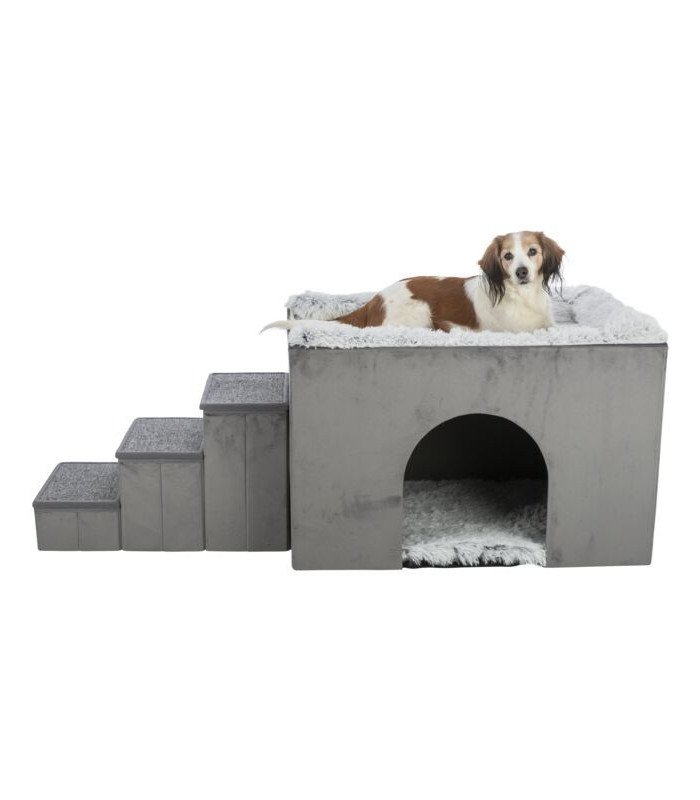 [38042] Cueva Harvey con escaleras