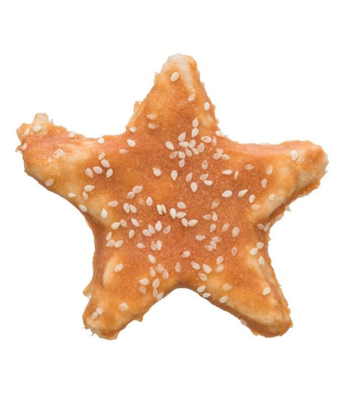 Denta Fun Chicken Star
