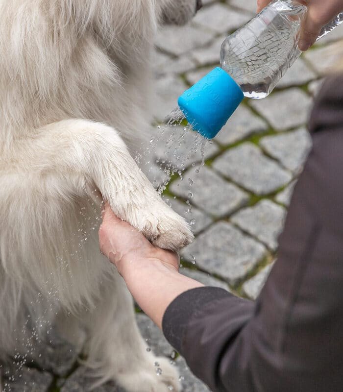 [25706] Ducha móvil para perros