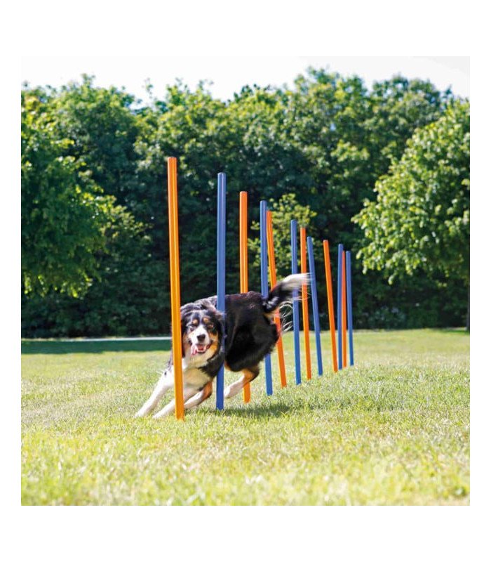 Eslalon para Agility