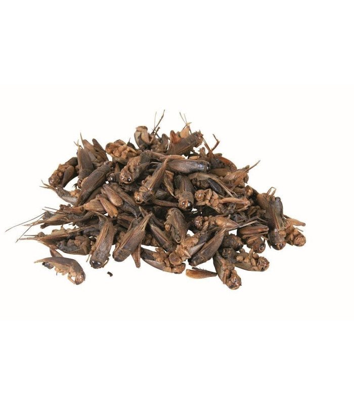 grillos secos - 25g