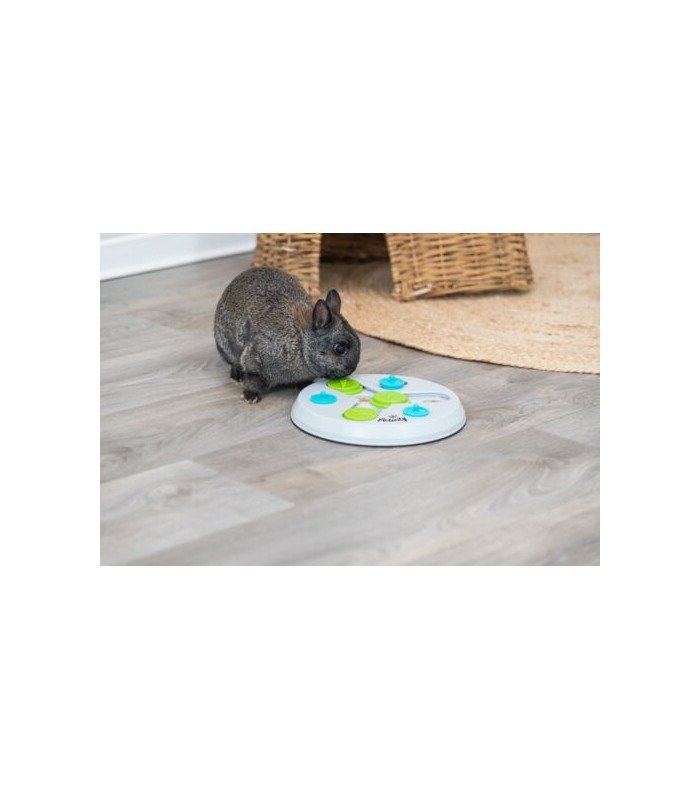[62816] Juego de Estrategia Slide Fun Board