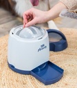 Juego Interactivo Memory Trainer 2.0