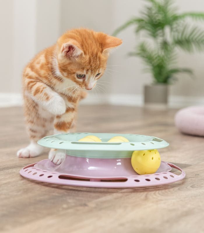 [41340] Junior Kitten Circle