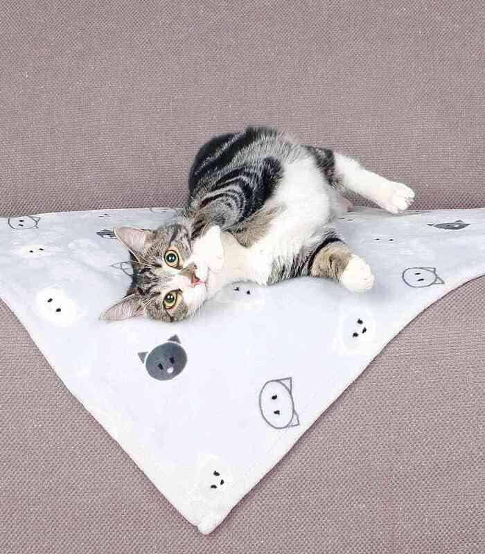 Manta Mimi