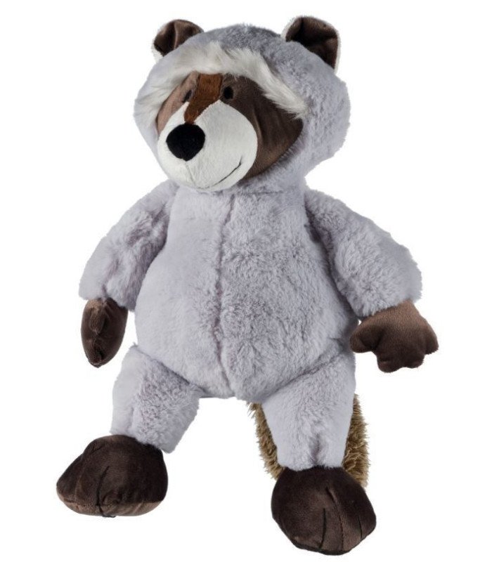 Mapache