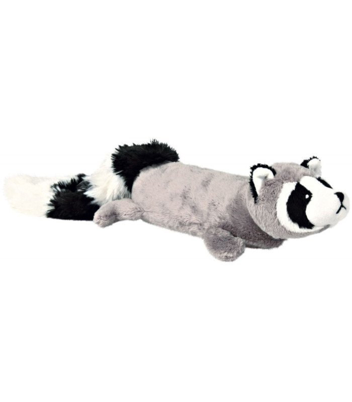 Mapache