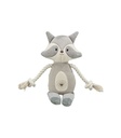 Mapache