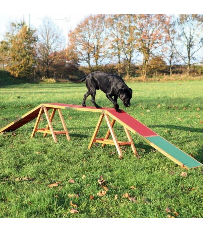 Pasarela para Agility