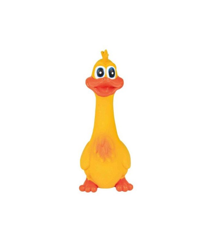 Pato