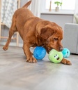 Pelota