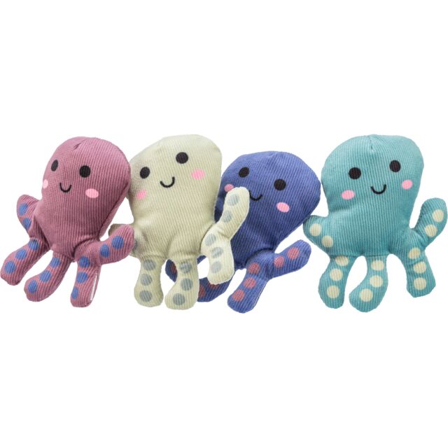Pulpo