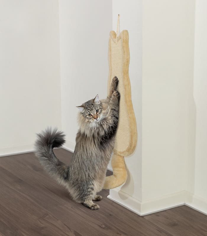 [43112] Rascadora Gato