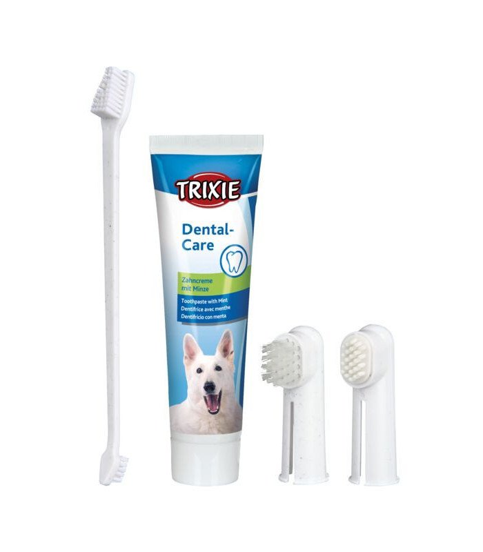 [2561] Set Higiene Dental