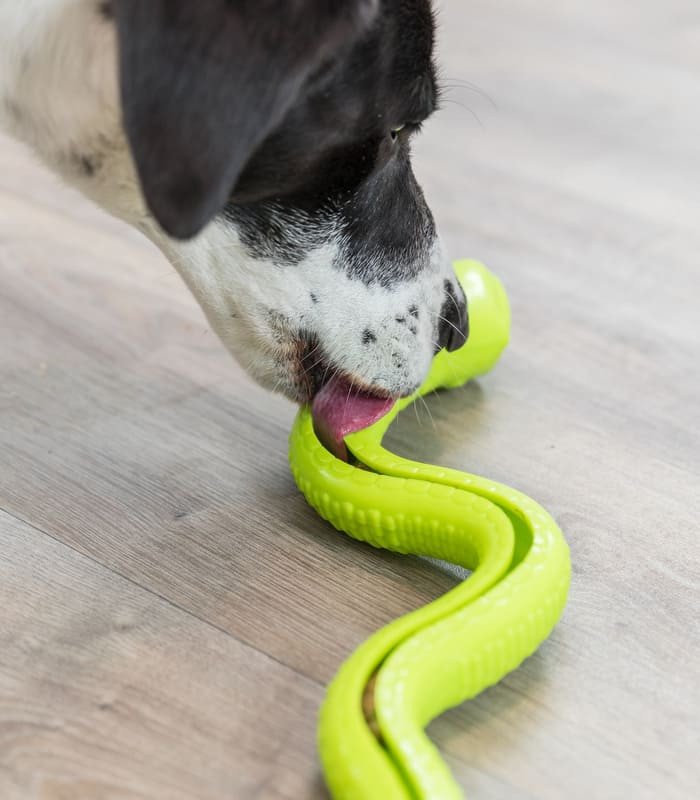 Snack-Snake