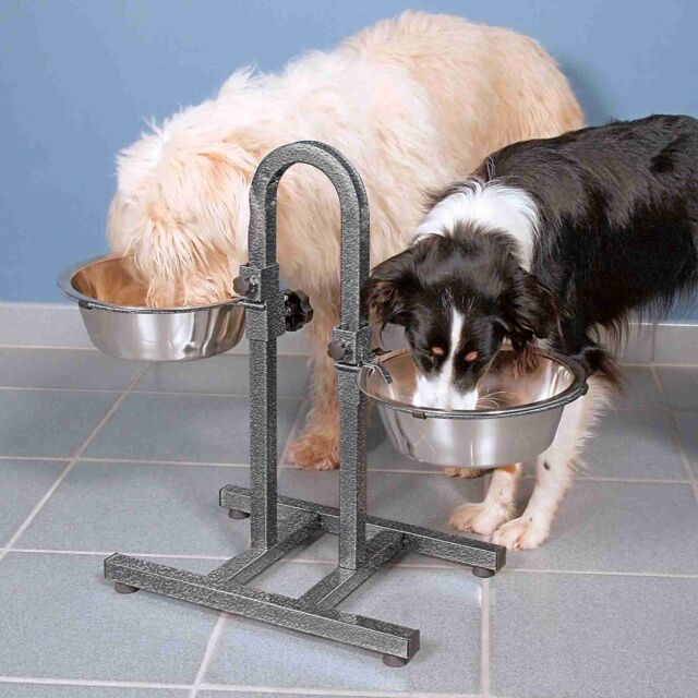 Soporte Comederos
